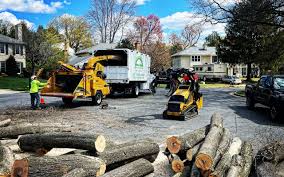 Best Stump Grinding and Removal  in Evanston, IL